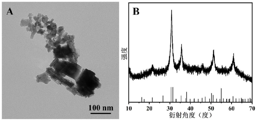 硫化钴镍-氧化铟复合纳米片材料、其制备方法和应用