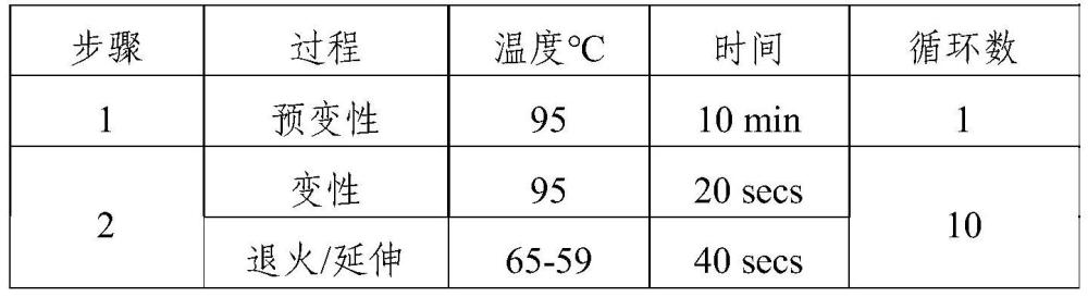 与小麦茎基腐病抗性QTL紧密连锁的分子标记及其应用