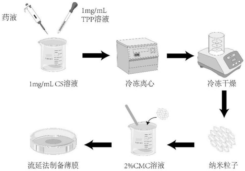 一种迷迭香酸与柠檬醛的复配抑菌剂及其应用