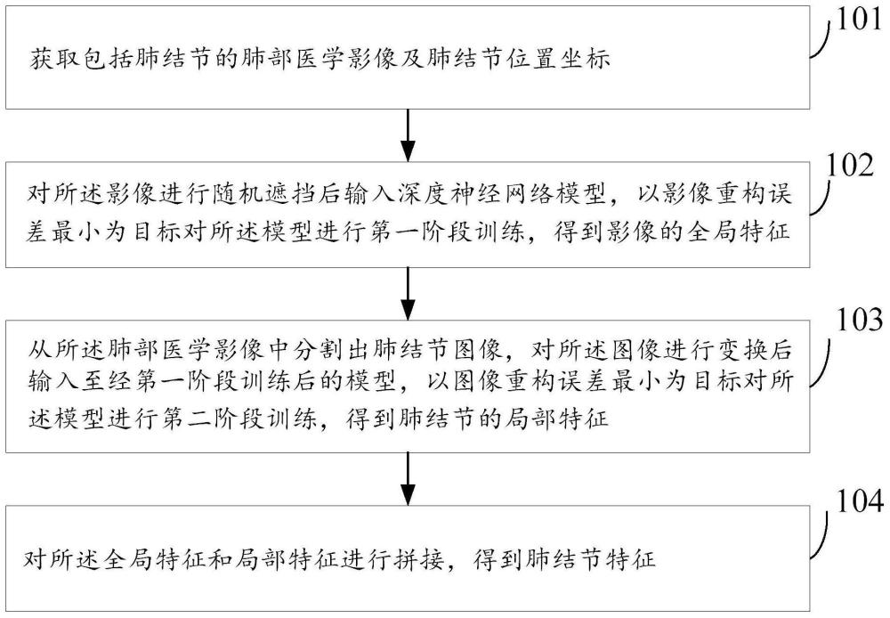 一种基于自监督学习的肺结节特征提取及数据库建立方法