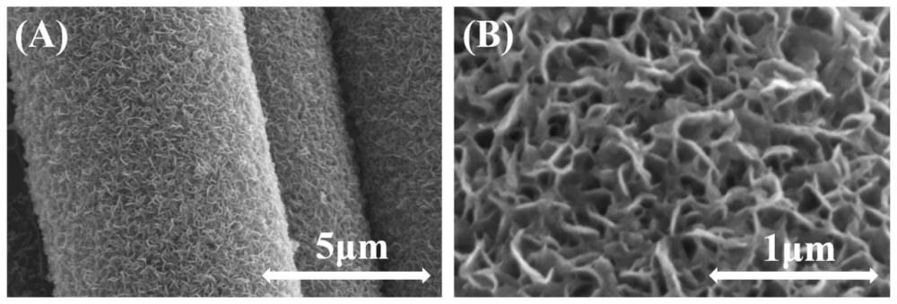 一种在碳纤维表面生长MoS2纳米片的方法及产品和应用