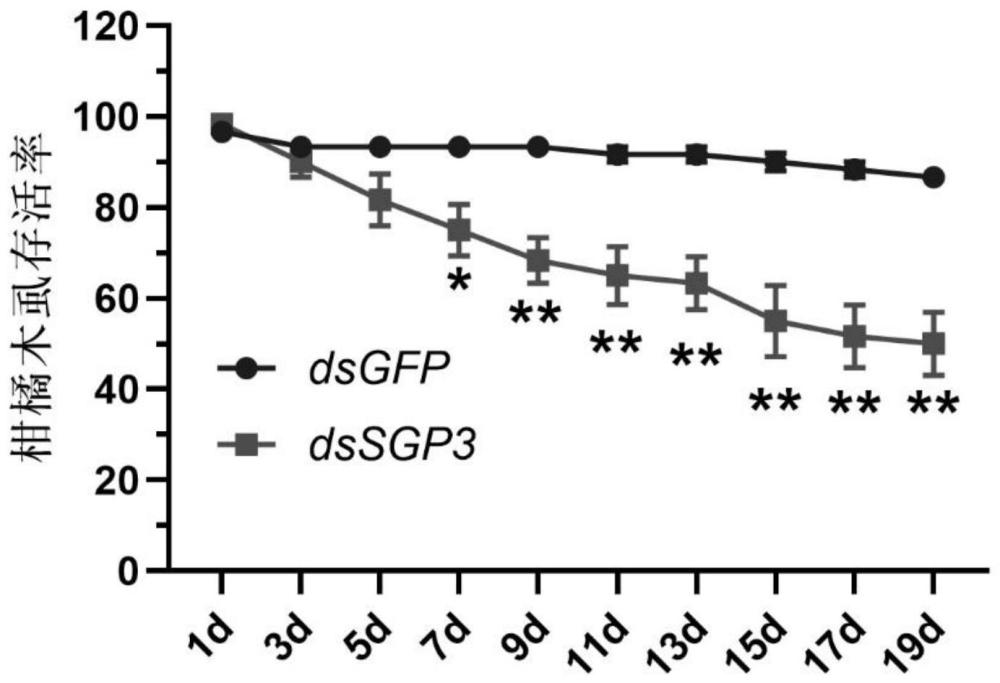 一种柑橘木虱唾液蛋白编码基因SGP3及应用