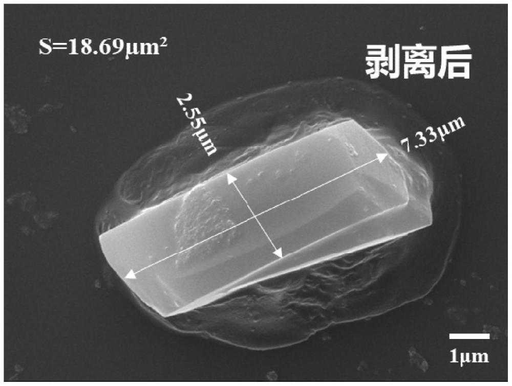 一种Cu-MOF材料、纳米片及其制备方法与应用与流程