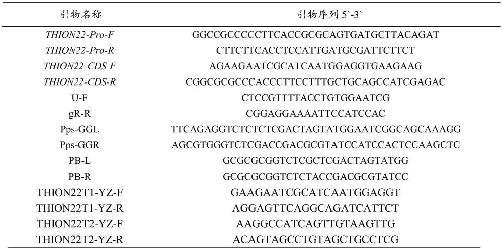 一种水稻THION22基因及其在调控水稻花粉管生长中的应用