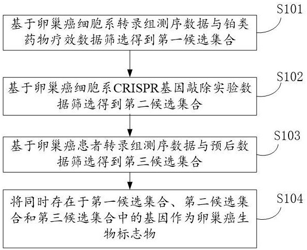 一种卵巢癌生物标志物的筛选方法及其应用与流程