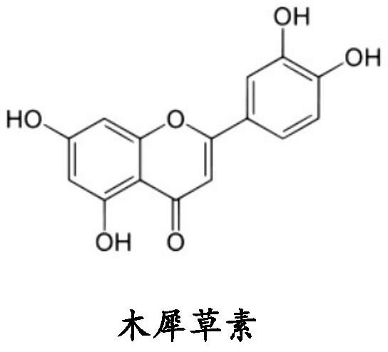 包含木犀草素的药物组合物及其制备方法与制药用途与流程