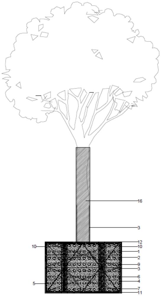 一种大树移栽方法与流程