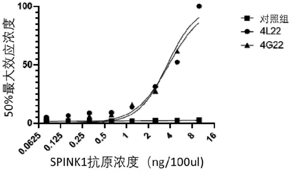 一种用于结合丝氨酸肽酶抑制剂Kazal1型蛋白的单克隆抗体及其用途