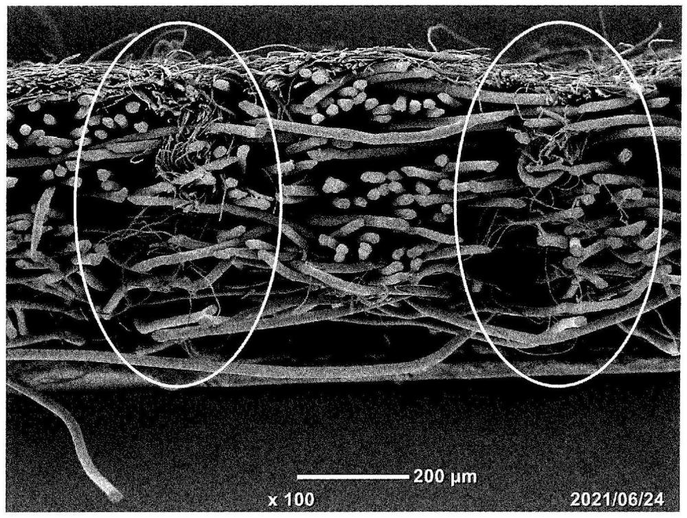 纤维结构体及其用途的制作方法