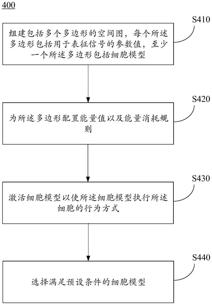 细胞模型以及细胞的选择方法、存储介质及电子设备