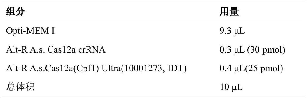 敲除NK细胞的TIGIT基因的方法、TIGIT基因敲除的NK细胞及应用与流程