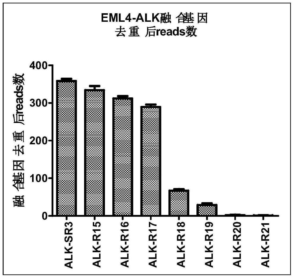 一种高效RNA多重靶向建库方法及试剂盒与流程