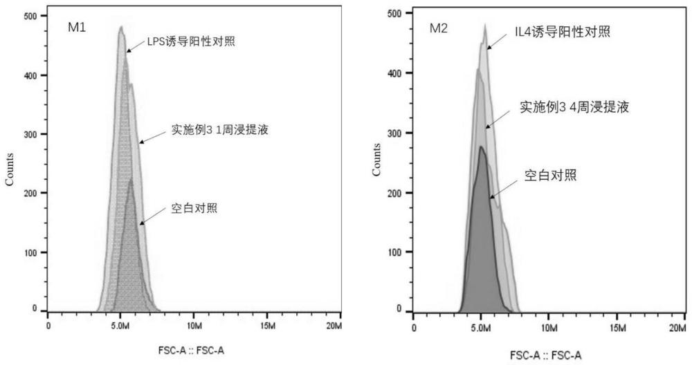 一种顺序调控巨噬细胞免疫微环境的抗感染促骨修复制剂及其制备方法