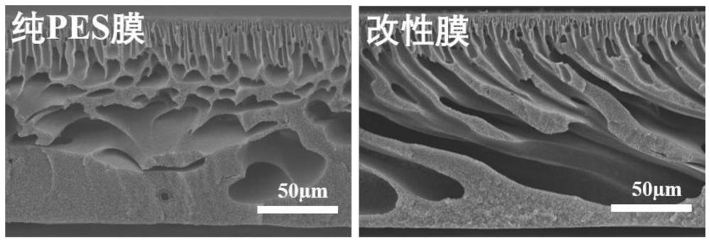一种改性碳纳米管和麦克烯复合掺杂的聚醚砜膜及其制备方法与流程