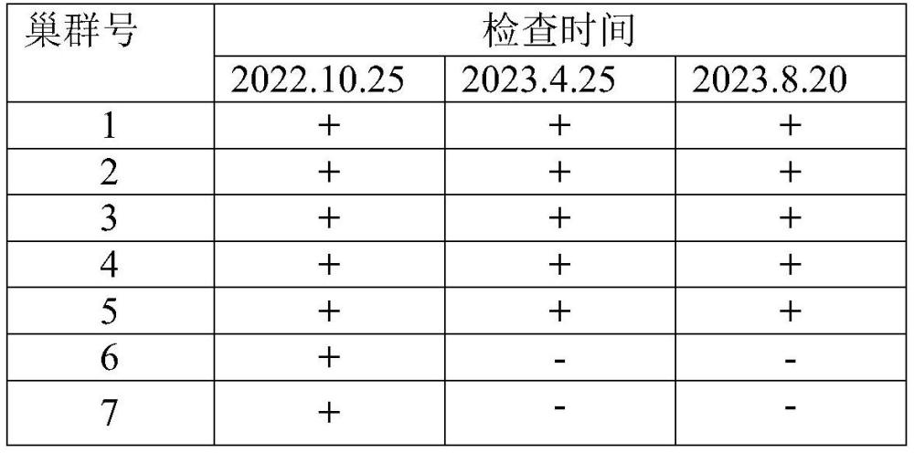 一种黑翅土白蚁防治饵剂及其制备方法与应用与流程