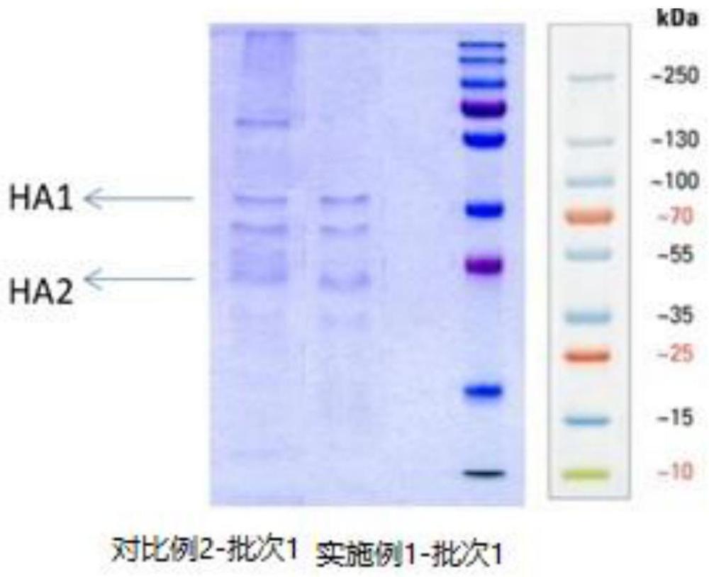 一种流感病毒裂解疫苗的制备方法与流程