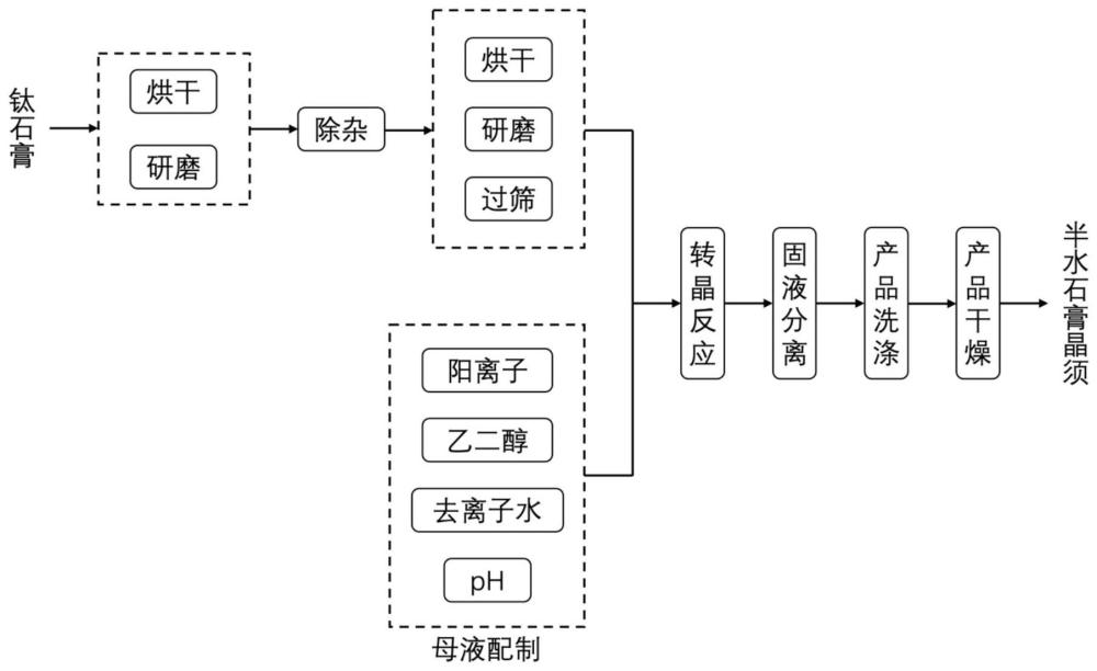 在乙二醇-水体系中利用钛石膏制备半水石膏晶须的方法