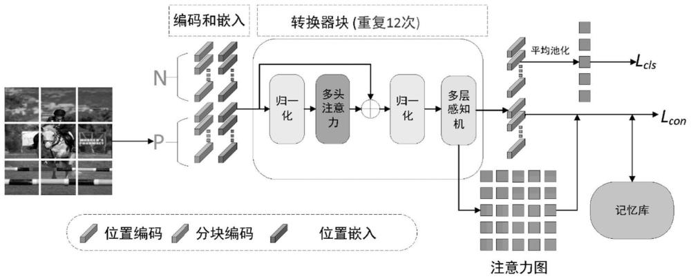 一种弱监督语义分割方法、装置及存储介质