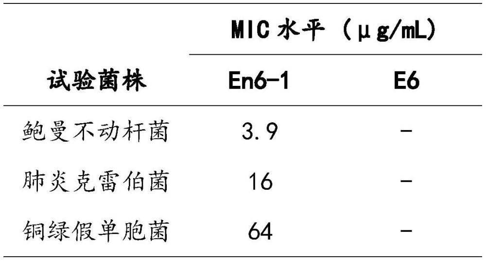 噬菌体裂解酶图片