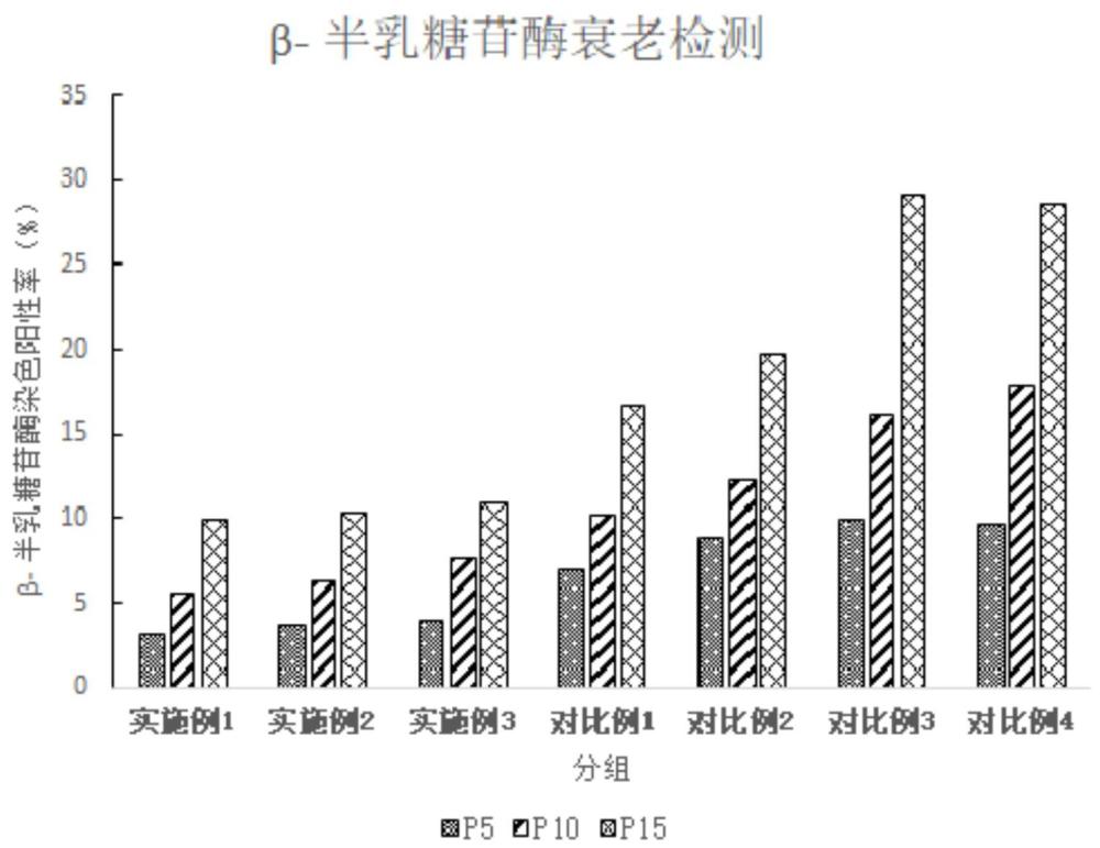 一种间充质干细胞的制备方法与流程