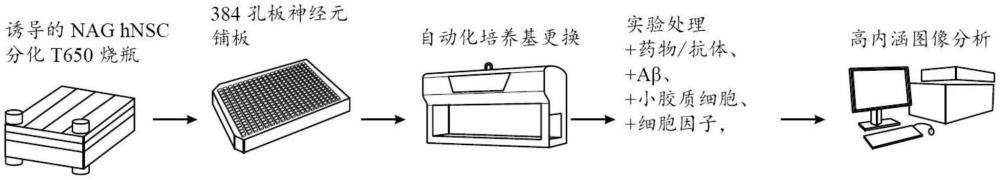 自动化细胞培养系统的制作方法