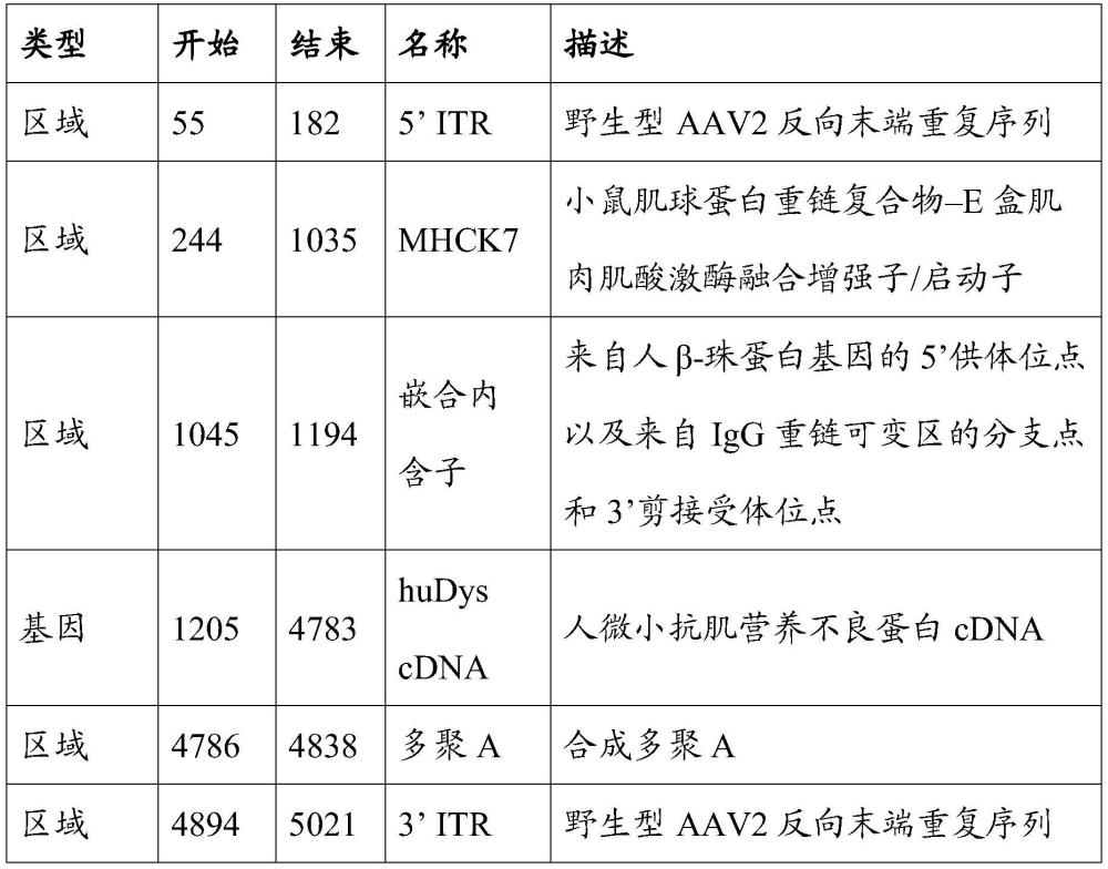 产生用于治疗肌营养不良的重组AAV载体的制作方法