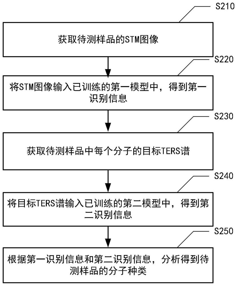 分子识别方法及系统