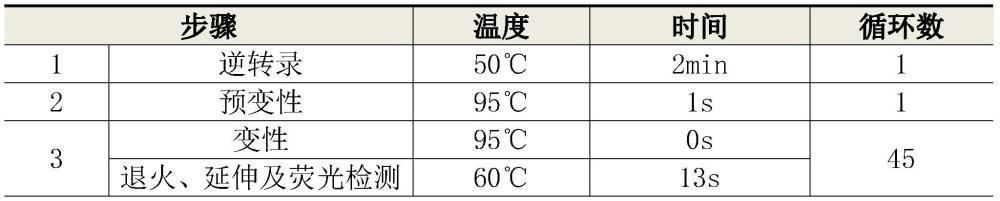 一种用于副流感病毒快速分型检测试剂盒及其用法的制作方法