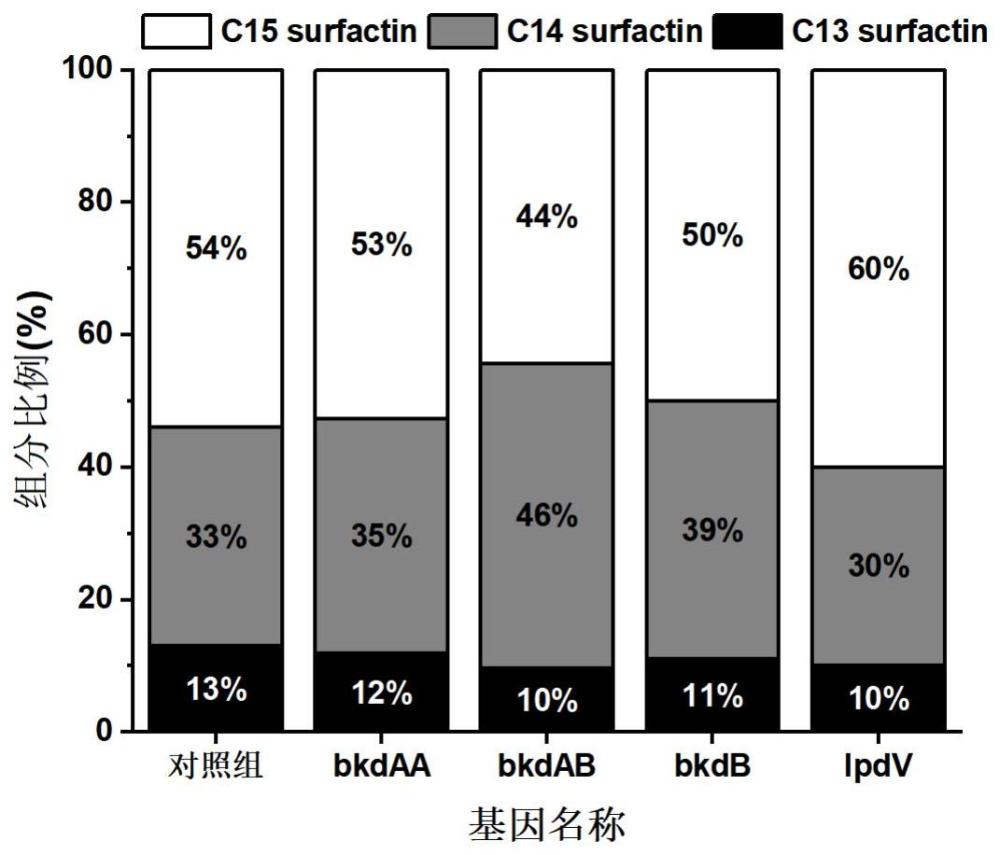 一种定向合成高乳化活性和抑菌活性Surfactin同系物的方法