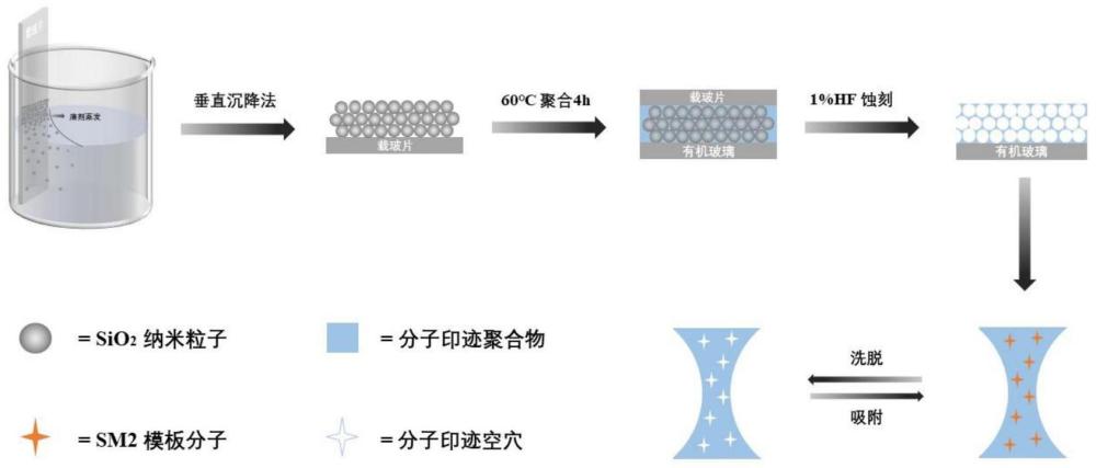 一种快速检测食品中磺胺二甲基嘧啶的分子印迹光子晶体传感器及其制备方法与应用