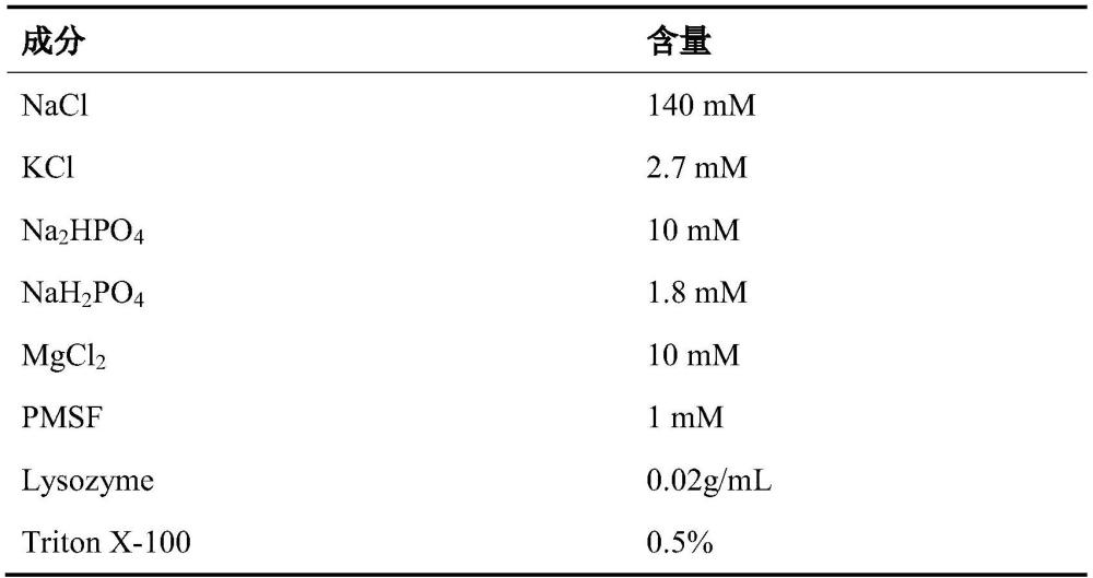 一种重组Siglec15-mFc蛋白及其在甲状腺癌细胞迁移中的应用