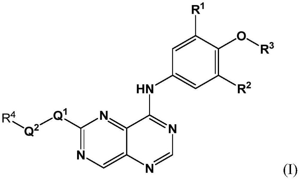 选择性HER2抑制剂的制作方法