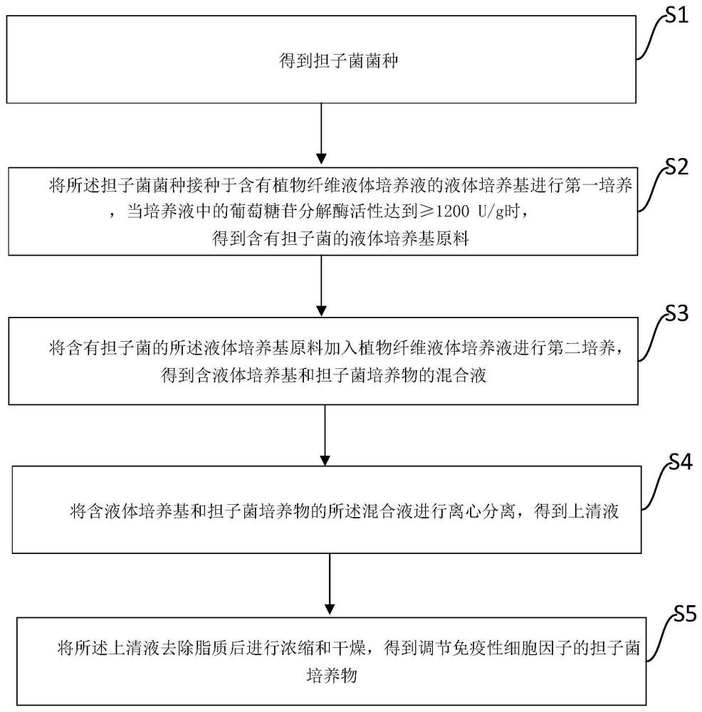 一种调节免疫性细胞因子的担子菌培养物及其应用的制作方法