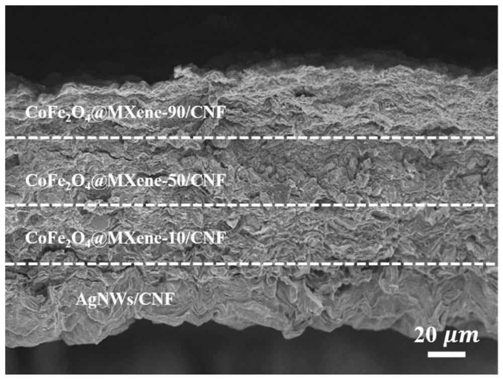 CoFe2O4@MXene-AgNWs/CNF复合薄膜的制备方法
