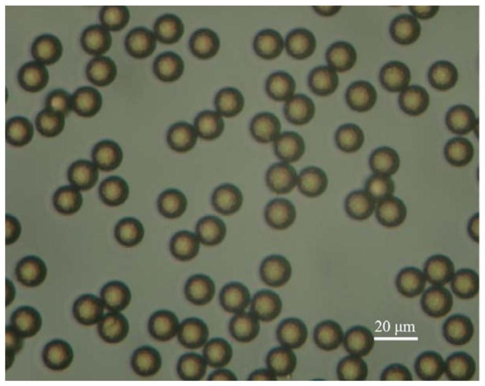 单分散亲水交联聚苯乙烯微球及其制备方法和应用与流程