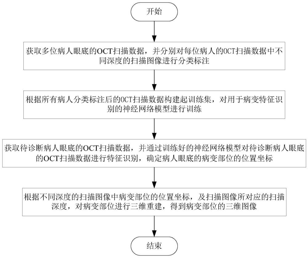 基于OCT的眼底病变部位识别、三维重建方法及系统与流程