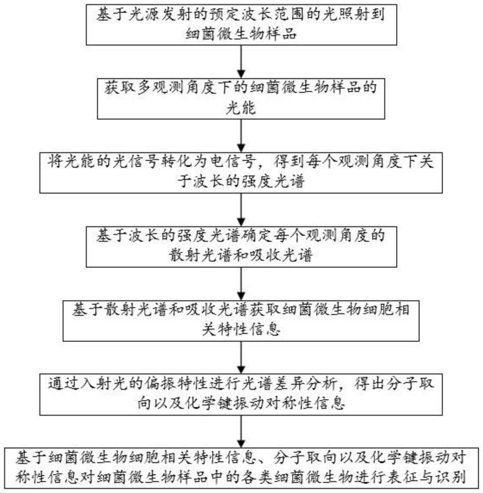 细菌微生物的多波长多角度三维光谱检测方法及装置