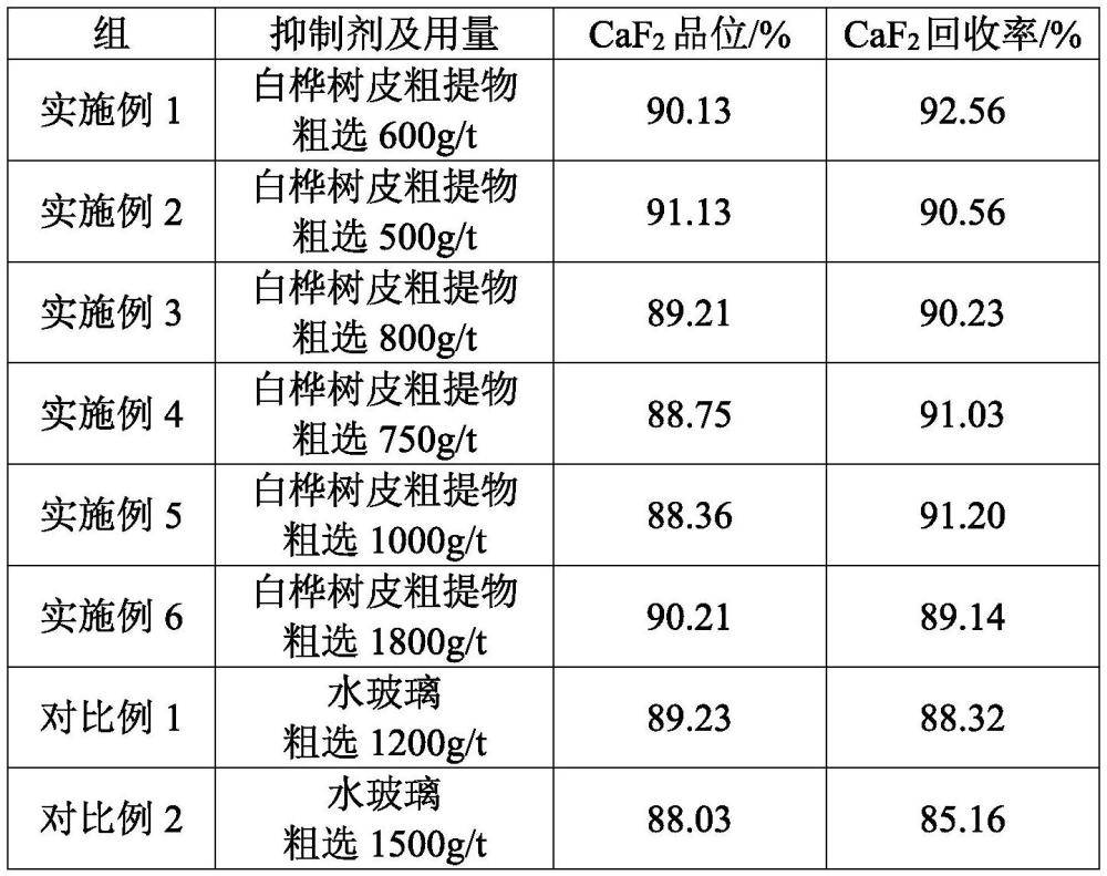 白桦树皮粗提物、提取方法及其应用