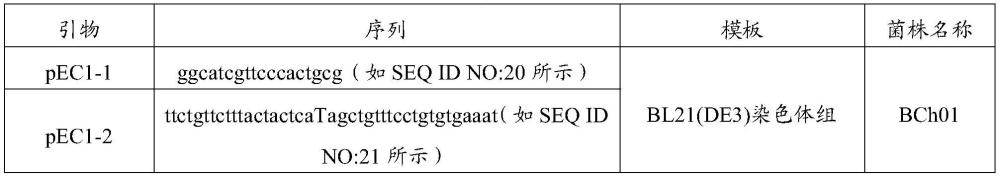 表达模块、重组菌株及其应用的制作方法