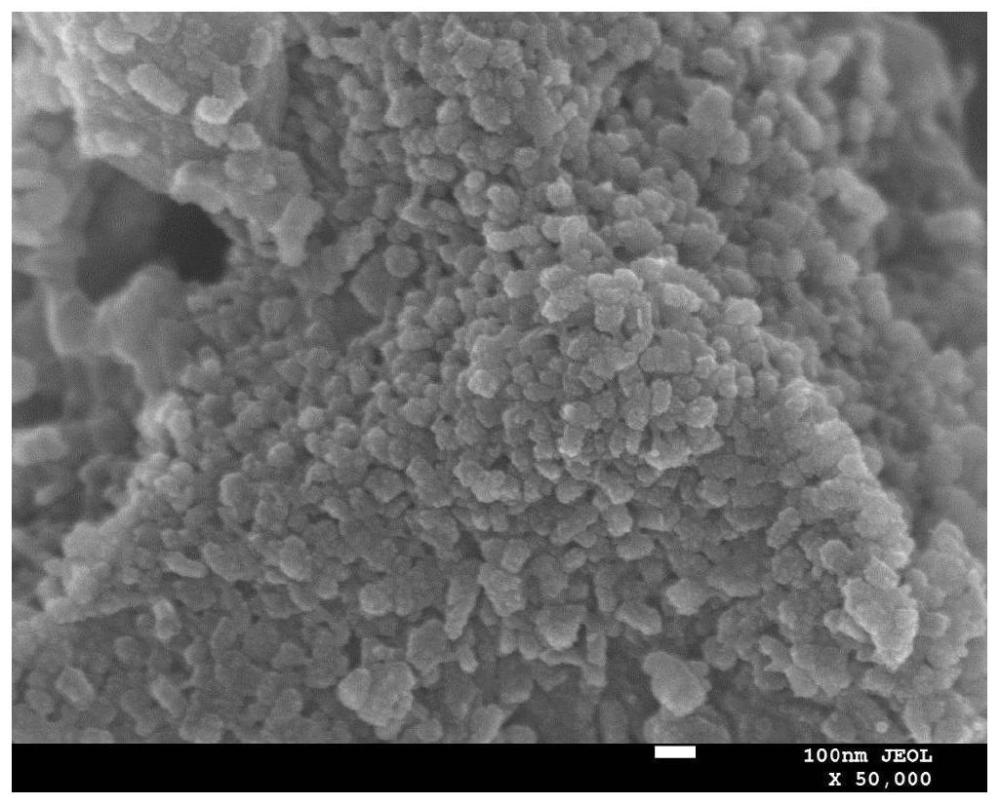 一种纳米碳酸钙微晶分散体系及其制备方法和应用