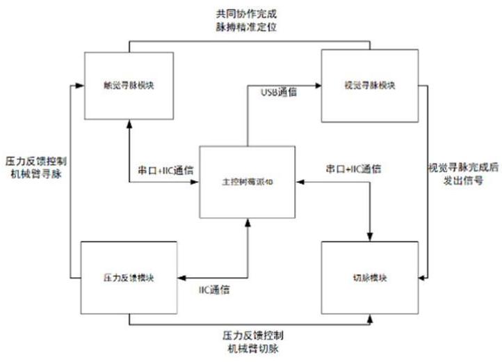 一种深度学习脉搏信号自动采集系统及方法