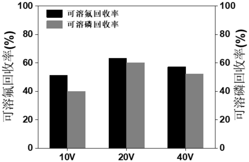 一种电动强化回收磷石膏中磷和氟的方法