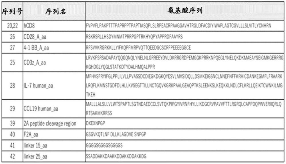 抗EGFRviii抗体、多肽、表达前述多肽的细胞、包含前述细胞的医药组合物、前述细胞的制造方法、及包含编码前述多肽的碱基序列的多核苷酸或载体与流程