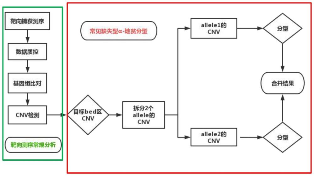 一种α-地贫分型试剂盒及其分型方法与流程