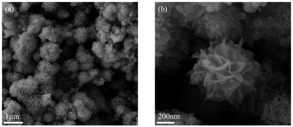 一种碳负载WC1-x纳米材料的制备方法及应用