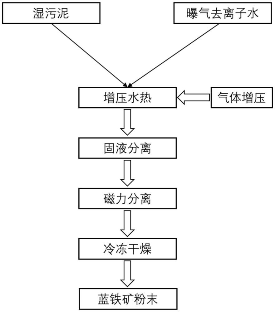 一种城市污水污泥增压水热合成蓝铁矿磷资源的回收方法