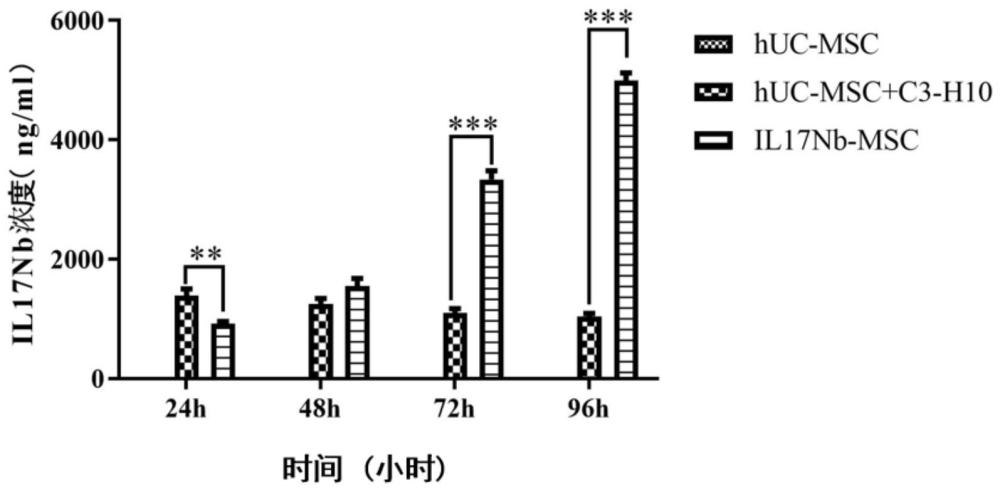 单域抗体修饰的干细胞及其在疾病治疗中用途的制作方法