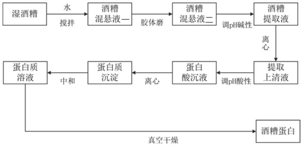 一种从湿酒糟中回收蛋白质的方法与流程