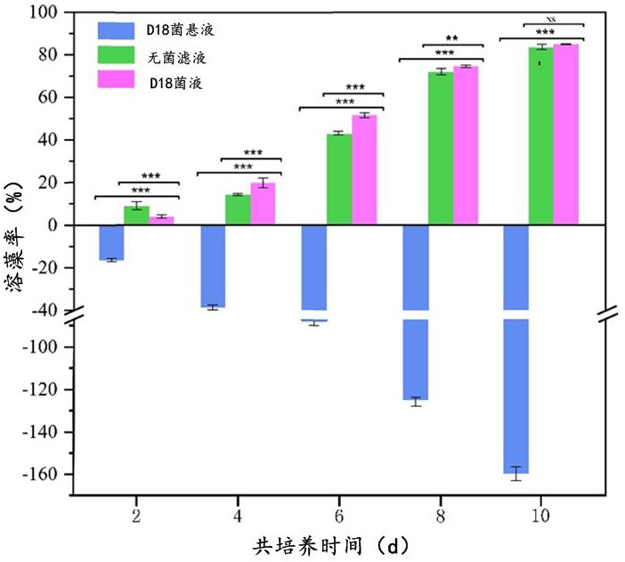 一种具有溶藻功能的放线菌D18、菌液、无菌滤液及制备方法和应用