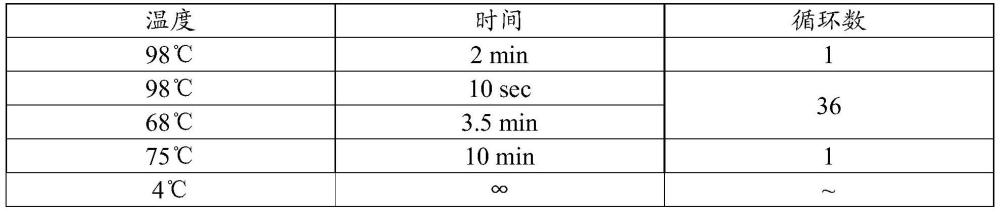 一种提高线粒体全长扩增检测准确性的方法与流程